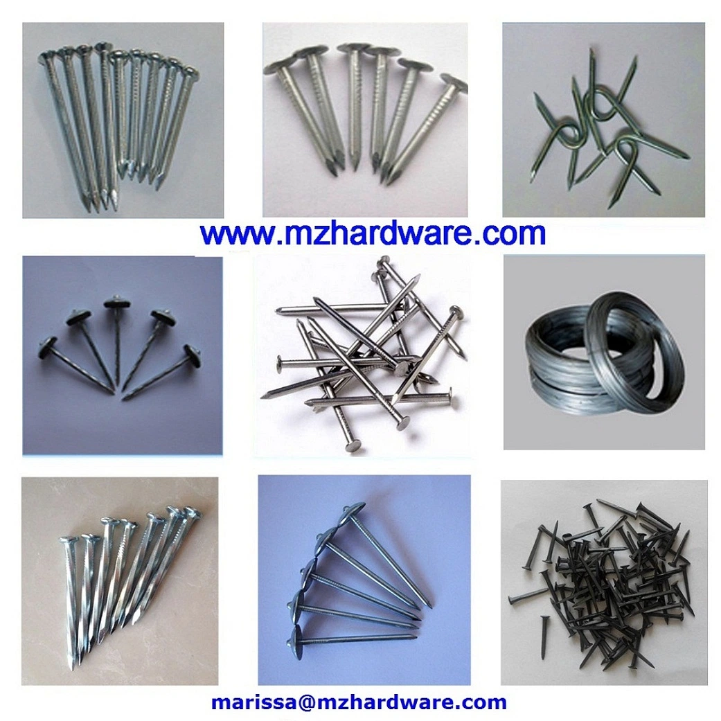 2-1/2" Galvanized Umbrella Head Roofing Nail with Rubber Washer